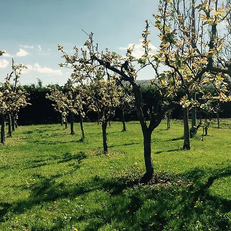 Le Piagge Bed & Breakfast 3*