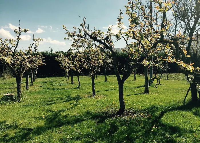 Le Piagge Bed & Breakfast 3*